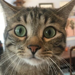 Meet your Posher, Rita